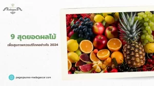 9 สุดยอดผลไม้เพื่อสุขภาพ ควรบริโภคอย่างไร 2024 01